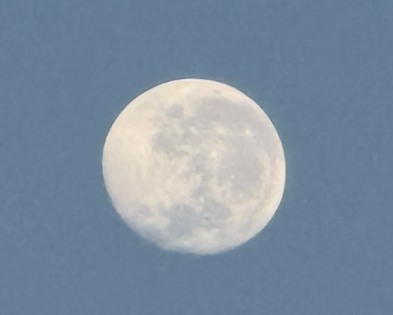 The moon was still up, too, full and pale, setting as the sun rose. Both of them in the sky at once, over Hwange.