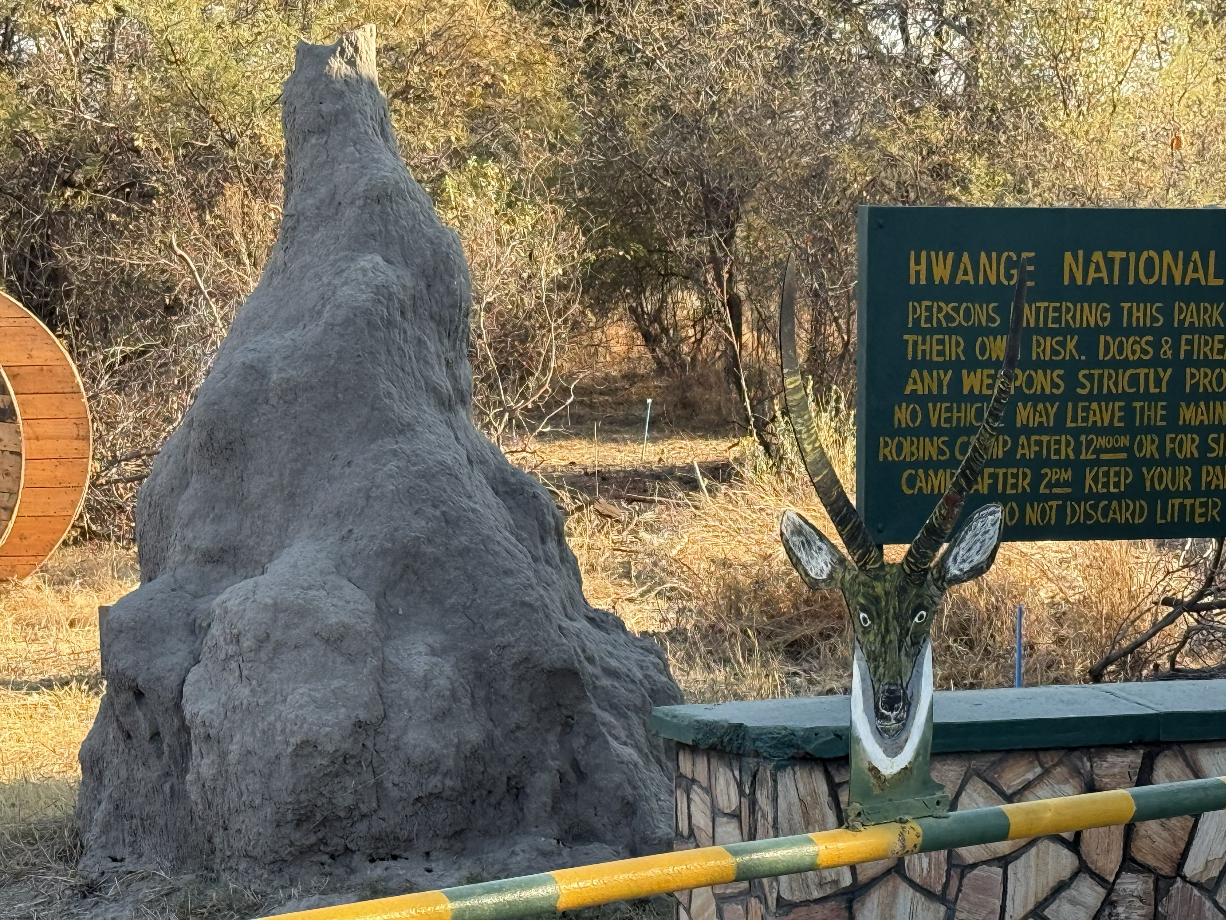 A termite mound — and once you notice one, you notice that they are everywhere, whole cities of them, built grain by grain.