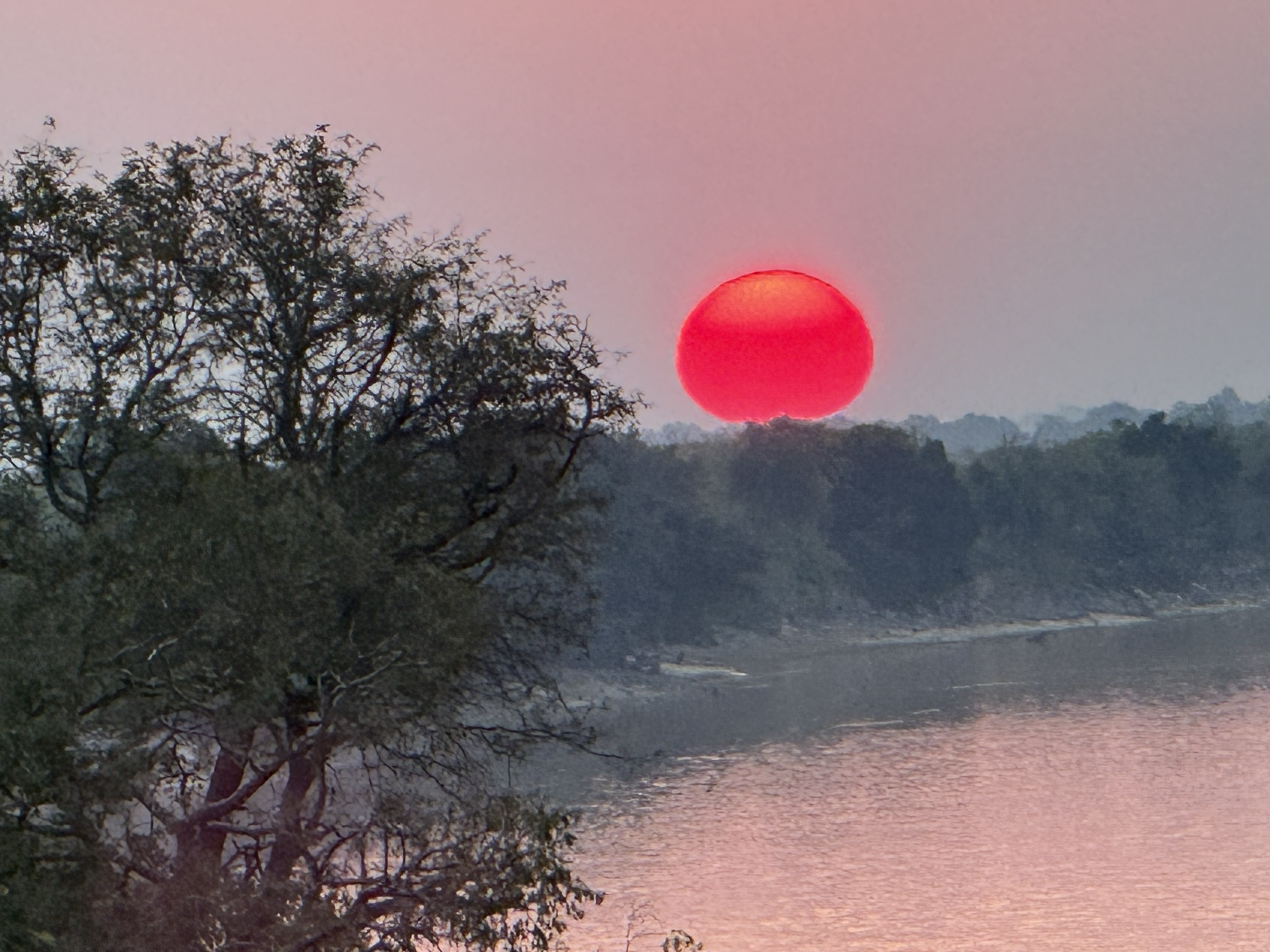 And the sun coming down over the Chobe River, gone red and enormous in the smoke-hazed winter air. This is the photograph you fly around the world hoping to take and almost never d